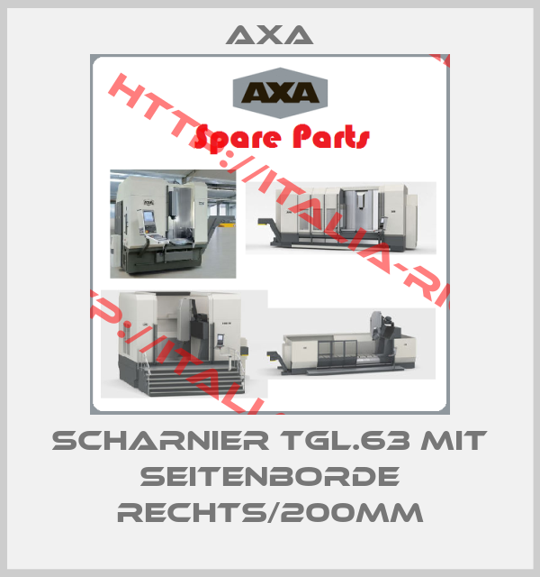 Axa-Scharnier TGL.63 mit Seitenborde rechts/200mm