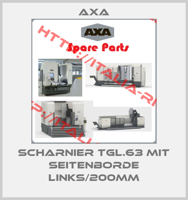 Axa-Scharnier TGL.63 mit Seitenborde links/200mm