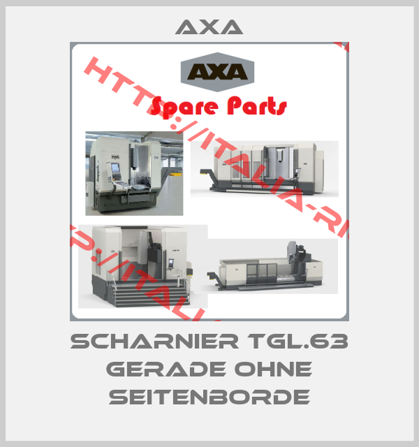 Axa-Scharnier TGL.63 gerade ohne Seitenborde