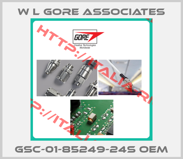 W L Gore Associates-GSC-01-85249-24S OEM