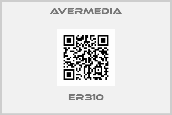 AVerMedia-er310
