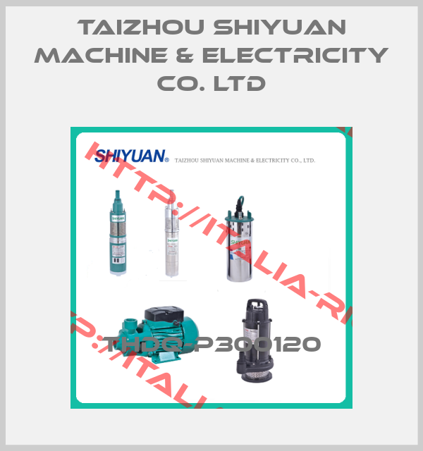 Taizhou Shiyuan Machine & Electricity CO. LTD-THDQ-P300120