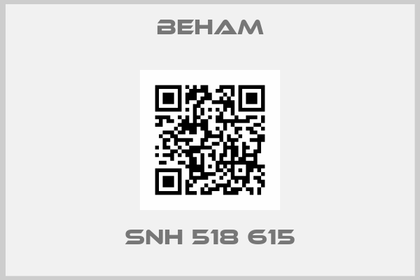 Beham-SNH 518 615