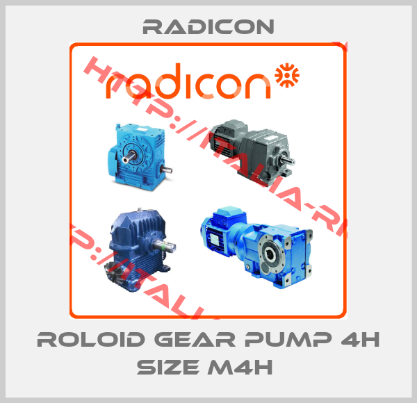 Radicon-Roloid Gear Pump 4H SIZE M4H 