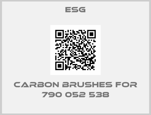 Esg-Carbon Brushes for 790 052 538