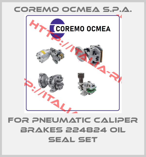 Coremo Ocmea S.p.A.-For Pneumatic Caliper Brakes 224824 oil seal set