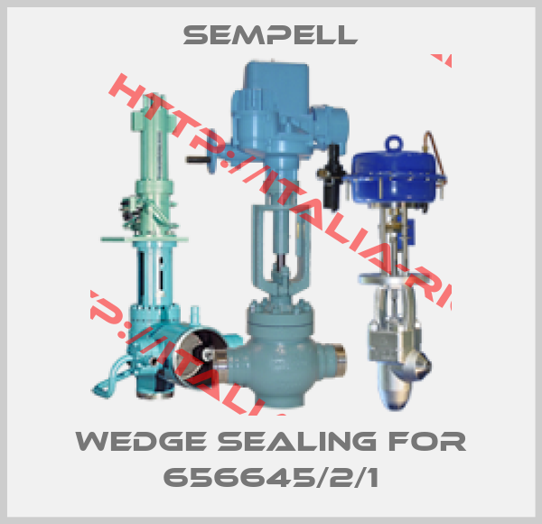 Sempell-Wedge Sealing for 656645/2/1