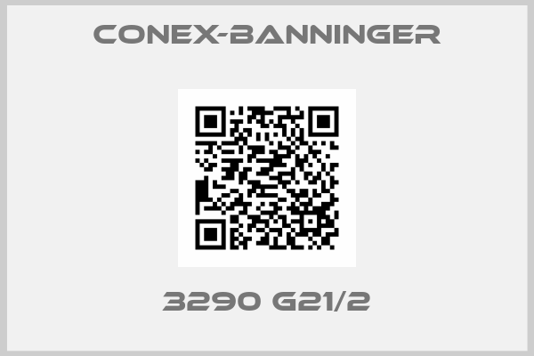 conex-banninger-3290 G21/2