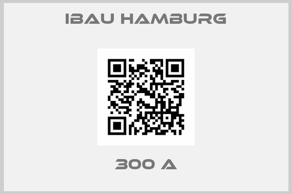 Ibau Hamburg-300 A