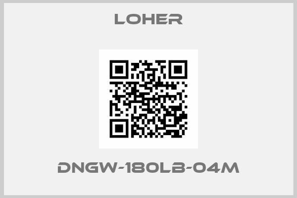 Loher-DNGW-180LB-04M