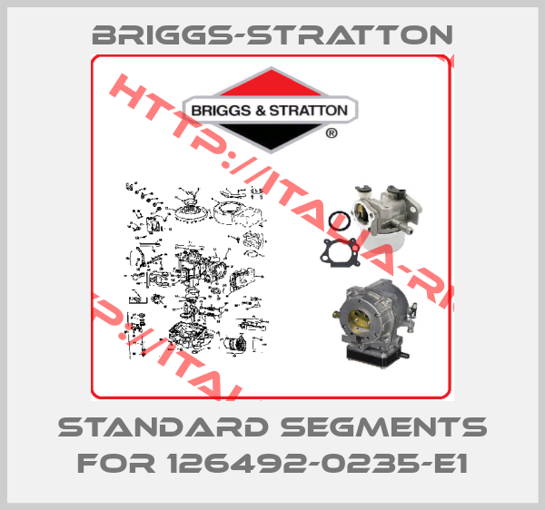 Briggs-Stratton-Standard Segments For 126492-0235-E1