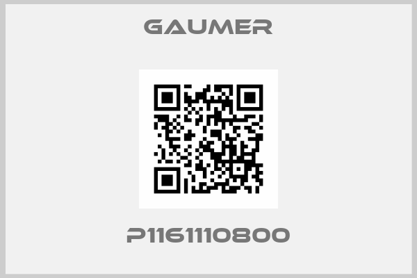 GAUMER-P1161110800
