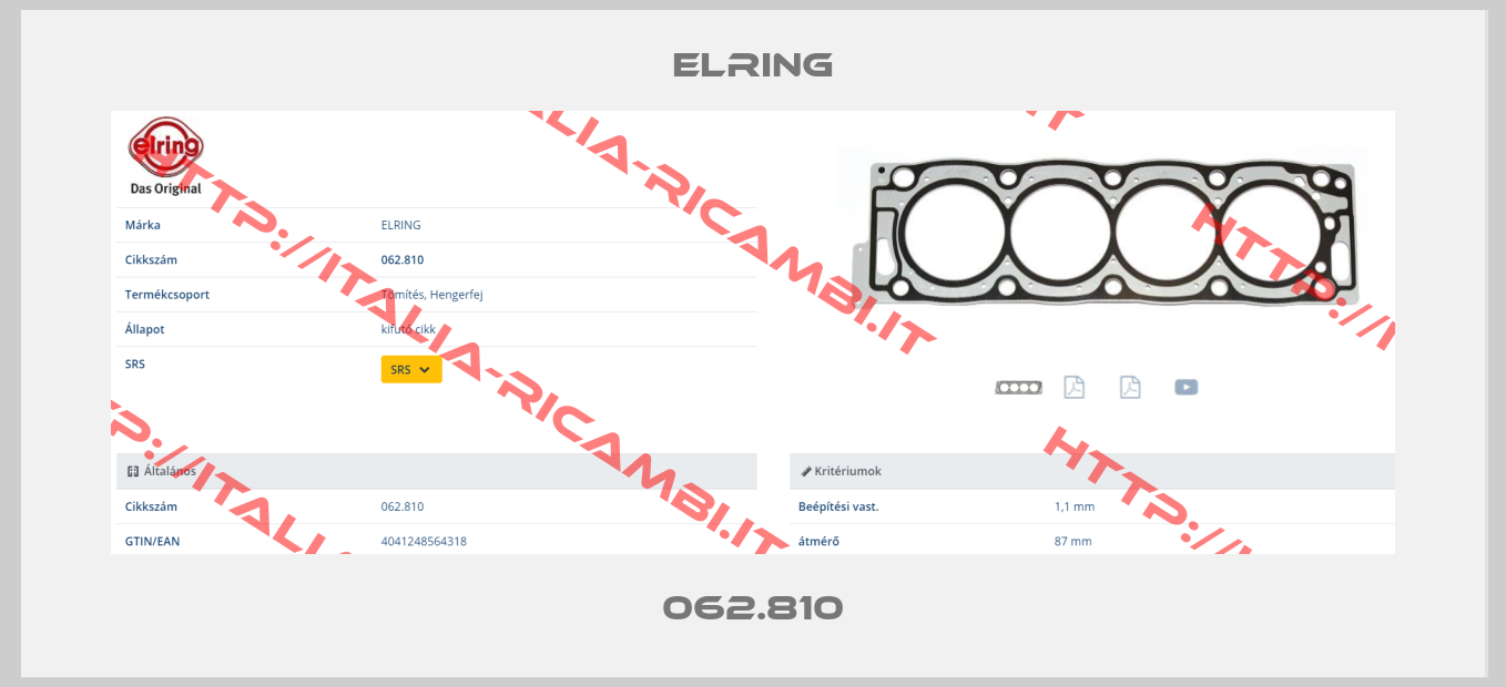 Elring-062.810