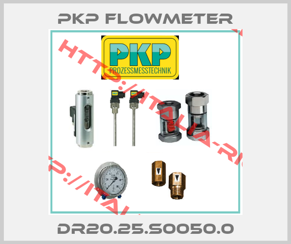 PKP Flowmeter-DR20.25.S0050.0