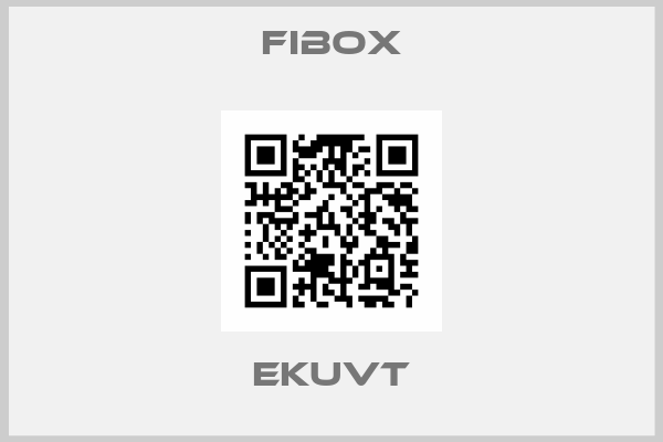 Fibox-EKUVT