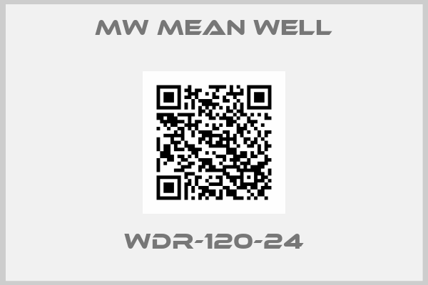 MW MEAN WELL-WDR-120-24