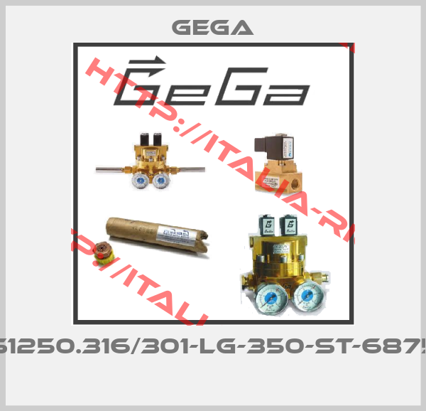 GEGA-S1250.316/301-LG-350-ST-6875 