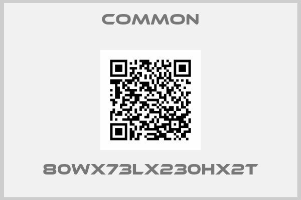 COMMON-80Wx73Lx230Hx2T