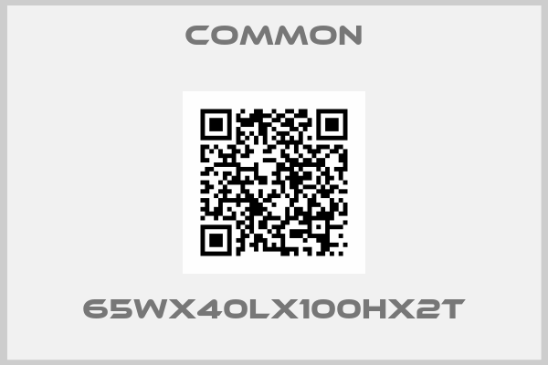COMMON-65Wx40Lx100Hx2T
