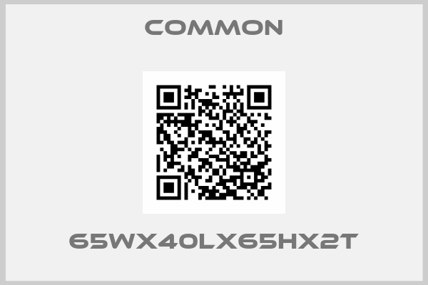 COMMON-65Wx40Lx65Hx2T