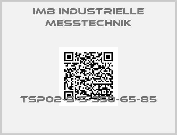 IMB Industrielle Messtechnik-TSP02-S-S-350-65-85