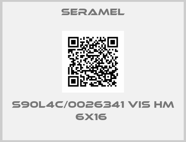 Seramel-S90L4C/0026341 VIS HM 6X16 