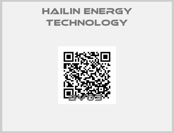 HaiLin Energy Technology-BV03 
