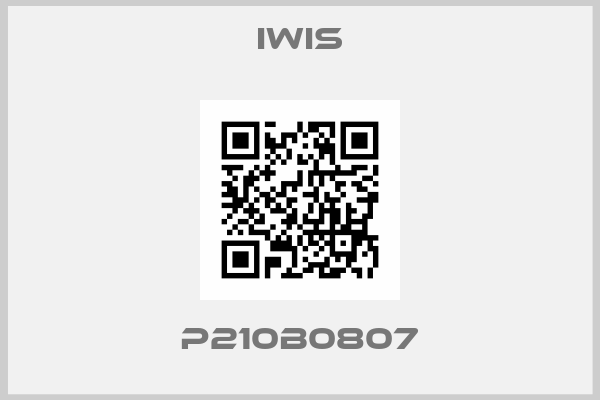Iwis-P210B0807