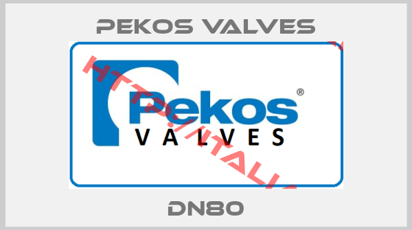 Pekos Valves-DN80