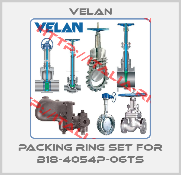 Velan-PACKING RING SET FOR B18-4054P-06TS