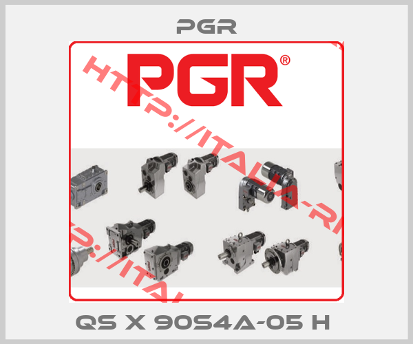 Pgr-QS X 90S4A-05 H 