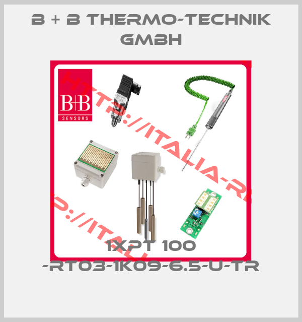 B + B Thermo-technik GmbH-1XPT 100 -RT03-1K09-6.5-U-TR