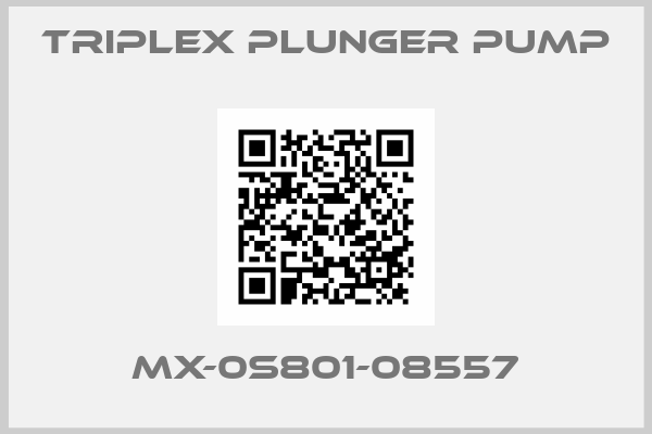 Triplex Plunger Pump-MX-0S801-08557