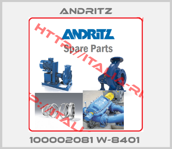 ANDRITZ-100002081 W-8401 
