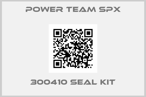 Power Team SPX-300410 seal kit