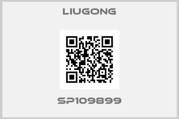 LIUGONG-SP109899