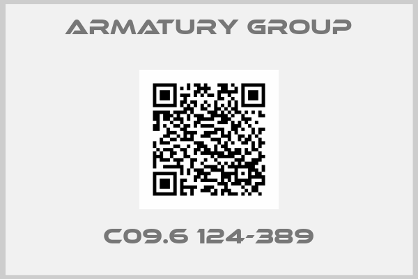 Armatury Group-C09.6 124-389