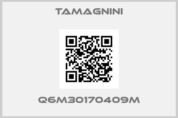 TAMAGNINI-Q6M30170409M