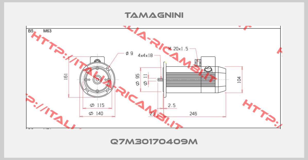 TAMAGNINI-Q7M30170409M