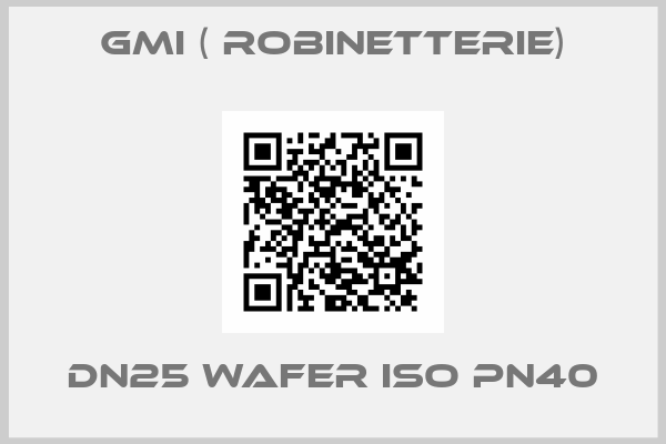 GMI ( robinetterie)-DN25 Wafer ISO PN40