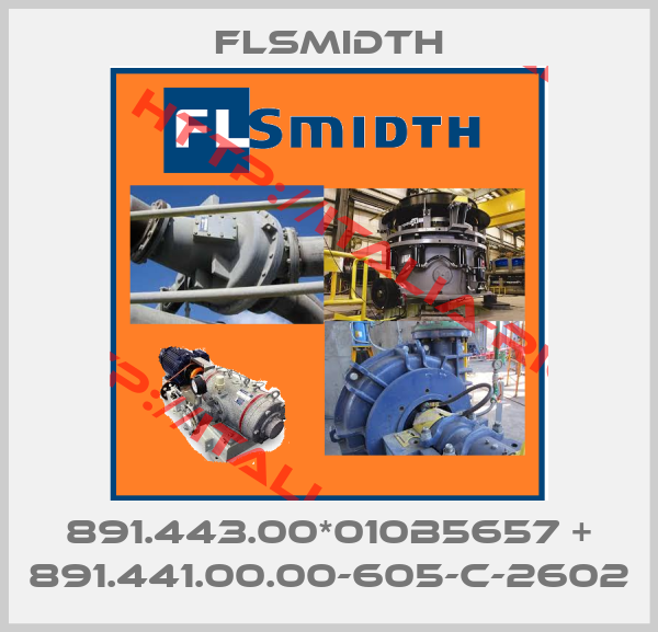 FLSmidth-891.443.00*010b5657 + 891.441.00.00-605-c-2602