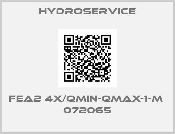 Hydroservice-FEA2 4X/QMIN-QMAX-1-M  072065