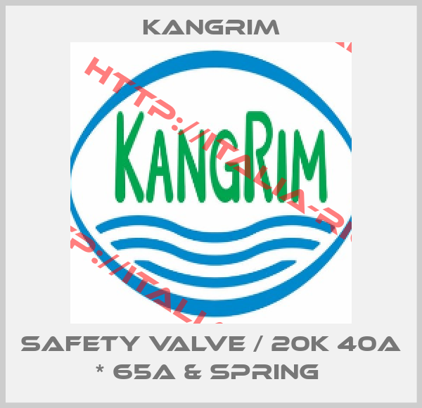 Kangrim-SAFETY VALVE / 20K 40A * 65A & SPRING 