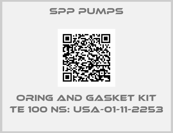 SPP Pumps-ORING AND GASKET KIT TE 100 NS: USA-01-11-2253