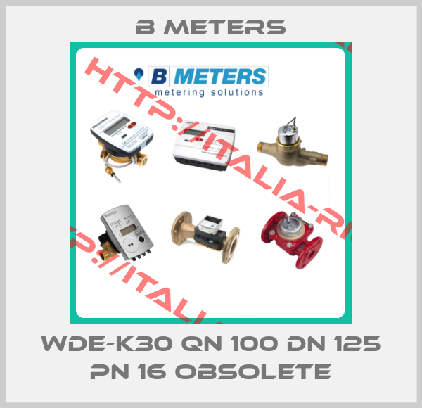 B Meters-WDE-K30 QN 100 DN 125 PN 16 obsolete