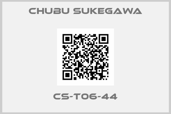 Chubu Sukegawa-CS-T06-44