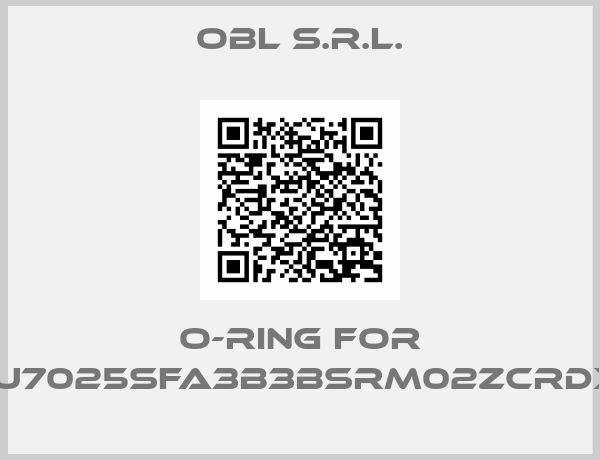 OBL s.r.l.-O-ring for 1LY010X9U7025SFA3B3BSRM02ZCRDX1BSV100