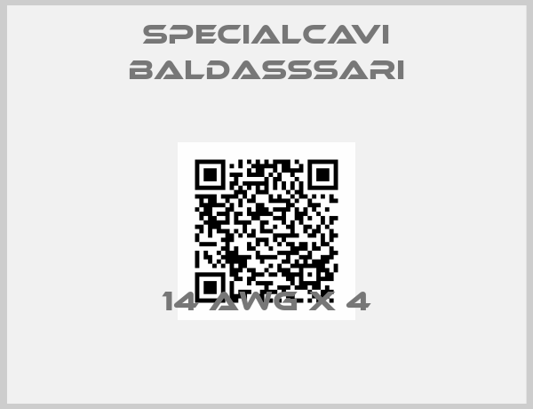 SPECIALCAVI BALDASSSARI-14 AWG X 4