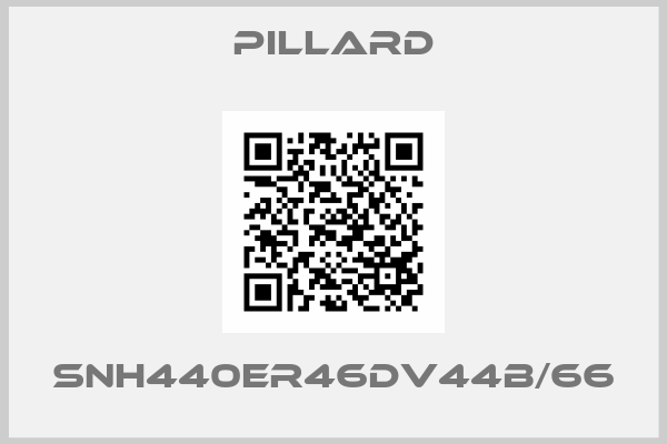 PILLARD-SNH440ER46DV44B/66