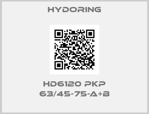 Hydoring-HD6120 PKP 63/45-75-A+B